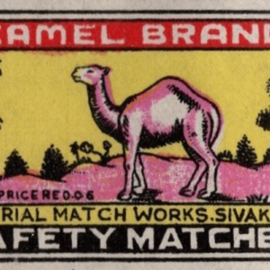 Camel Brand History