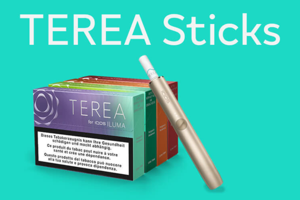 What Are TEREA Sticks